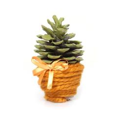 Masa Üzerin Dekoratif  3 Lü Set  Çiçek Saksısı , Süs, Hediyelik Obje, Minyatür Saksı Süsü