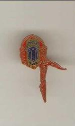 YABANCI BİR ROZET...