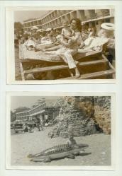 1966 SENESİ YEŞİLKÖY ÇINAR HOTEL BİR AİLENİN KONAKLAMA FOTOĞRAFLARI...