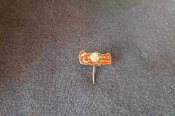 ESKİ - MUSTAFA KEMAL DERNEĞİ ROZETİ - MADALYA B6016