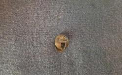 ESKİ -TÜRKİYE ZİRAATÇILAR DERNEĞİ 1949.TARİHLİ ROZET - MADALYA B6157