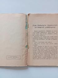 ZİYA GÖKALP VE ÇINARALTI