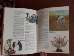 Ou Quand Comment Pourquoi. Le livre du ou. une reponse a toutes vos questions