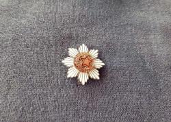 MECLİS-İ MEBUSAN ROZETİ - MADALYA B6213