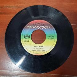 Aşık Mahzuni Şerif - Bitmez Tükenmez Geceler & Dost Uyan - Almanya Baskı 45'lik Plak