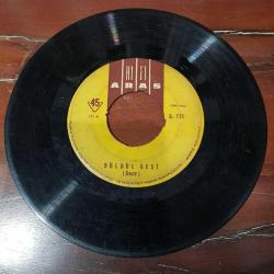 Bülbül Sesi - Gündüz & Gece - 45'lik Plak