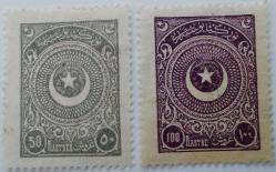 1923 AYYILDIZ SERİSİ BİRİNCİ BASKI 50 VE 100 KURUŞ OLAN ORJİNAL NADİR PULLARI 2024 ŞARNİYERLİ KATALOK FİYATI;12.500.00TL BBB2