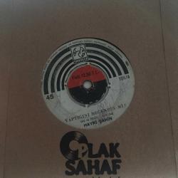 Hayri Şahin / Yaptığını Beğendin mi? / Acı Izdırap / 45'lik plak