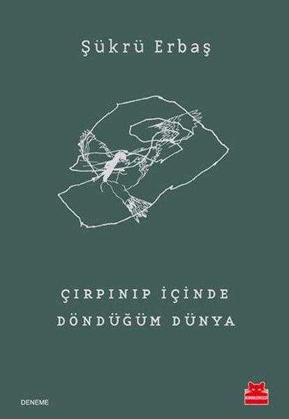 Çırpınıp İçinde Döndüğüm Dünya - Şükrü Erbaş
