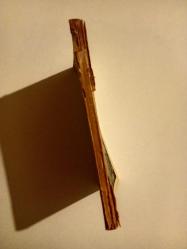 Anastasia Çarın Kızı