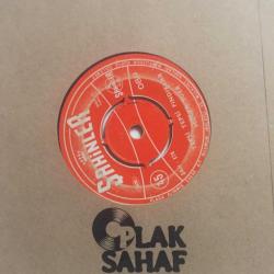 Hülya Süer / Tepsi Tepsi Fındıklar - Asmam Çardaktan / 45'lik plak