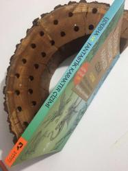 Ejderha ve Fantastik Karakter Çizimi Elkitabı - Fantastik Periler, Ejderhalar, Mitolojik Yaratıklar ve Daha Fazlasını Çizmek İçin 50’ den Fazla İpucu ve Teknik