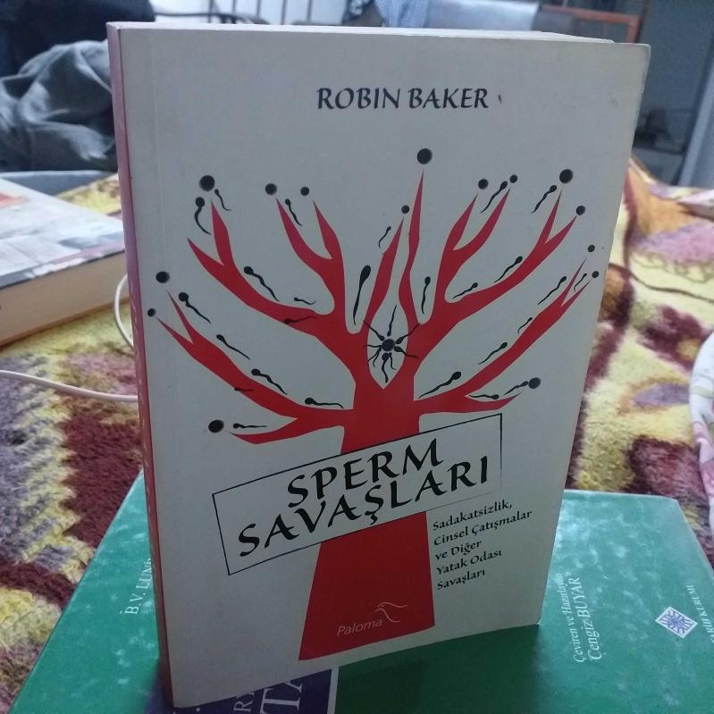 yeşilçam hülya bogotada bekarlar için barlar