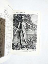 Art Students39 Anatomy - Edmond J. FARRIS / Kitap