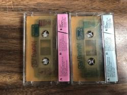 SEV DÜNYAYI '92 - İKİ KASET BİR ARADA TAKIM - NECO CEM KARACA BELKIS AKKALE AJDA PEKKAN İBRAHİM TATLISES LEMAN SAM M. F. Ö. SUAVİ AYŞEGÜL ALDİNÇ TRT ÇOCUK KOROSU SEZEN AKSU ....