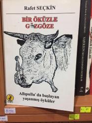Bir Öküzle Gözgöze