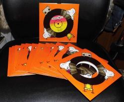 POP - HAFİF MÜZİK TARZINDA 45LİK PLAKLARINIZ ÖZEL BASIM PLAK KORUMA KABI * SELEFONLU 20 ADET