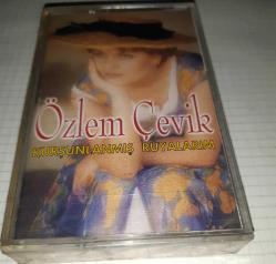 ÖZLEM ÇEVİK 
