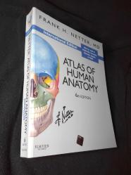 Atlas of (SIFIR) Human Anatomy (International Edition) (YENİ/SIFIR)