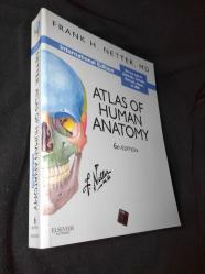 Atlas of (SIFIR) Human Anatomy (International Edition) (YENİ/SIFIR)
