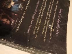 The Vampire Diaries: Dark Reunion