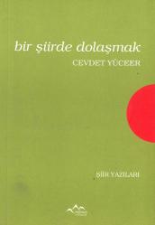 Bir Şiirde Dolaşmak
