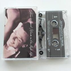 Steve Winwood Back In The High Life Kaset Y3