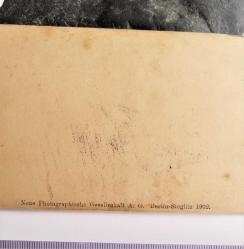 Paris Louvre Venus Genetrix Neue Photographische Gesellschaft NPG