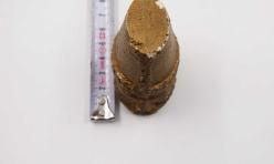 Sanat Taciri - El Yapımı Alçı Biblo -- Sanatsal Küçük Heykel