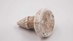 Sanat Taciri - El Yapımı Alçı Biblo -- Sanatsal Küçük Heykel