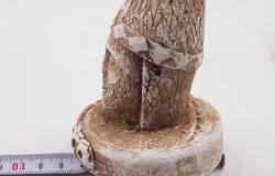 Sanat Taciri - El Yapımı Alçı Biblo -- Sanatsal Küçük Heykel