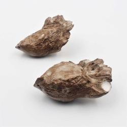 Antika El Yapımı 2 Adet Kuş Biblosu -- Sanatsal Kuş Bibloları