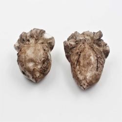 Antika El Yapımı 2 Adet Kuş Biblosu -- Sanatsal Kuş Bibloları