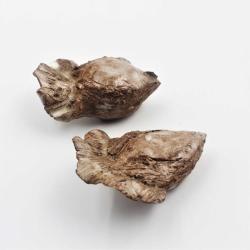 Antika El Yapımı 2 Adet Kuş Biblosu -- Sanatsal Kuş Bibloları