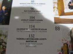 Skylife Sayı: 327 / Ekim 2010 / Irmakların Buluştuğu Yer: Podgorica / Mezopotamya'nın Yüzük Taşı Mardin / Marquez'den Öncesi ve Sonrası...
