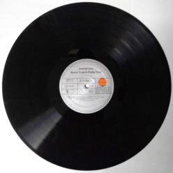 AMANDA LEAR NEVER TRUST A PRETTY FACE 33 LÜK PLAK