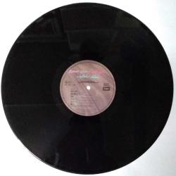 DİANA ROSS RED HOT RHYTHM BLUES 33 LÜK PLAK