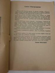 Çakır Menekşeler / Bolu Baskı