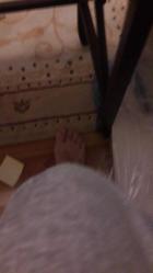 MEVLANA CELALETTİN RUMİ KONYAYA GELİŞİNİN TEMSİLİ  BASKI RESMİ  ( AHMET ÇAKŞEL) Ebat:25× 32 cm. Orjinal çerçevesinde