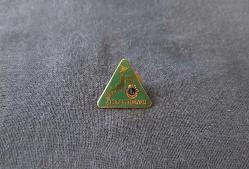 LİONS ROZETİ - MADALYA B7453