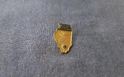 LİONS ROZETİ - MADALYA B7438