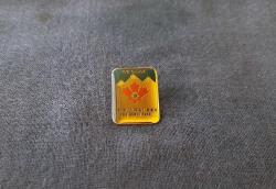 LİONS ROZETİ - MADALYA B7433