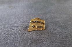 LİONS ROZETİ - MADALYA B7425