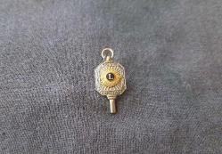 LİONS ROZETİ - MADALYA B7418