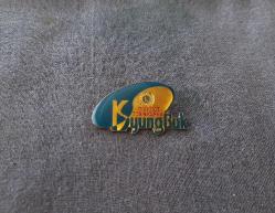 LİONS ROZETİ - MADALYA B7417