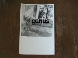 Yeşilçam Kadın Oyuncu Yeşilçam Türk Sineması Fotoğraf..