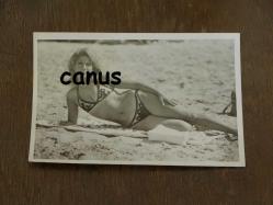 SEVİNÇ PEKİN Sinema Aktris Fotoğrafı