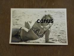 SEVİNÇ PEKİN Sinema Aktris Fotoğrafı