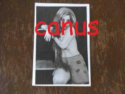 Gülistan Okan Fotoğraf