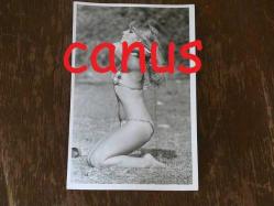 Gülistan Okan Fotoğrafı